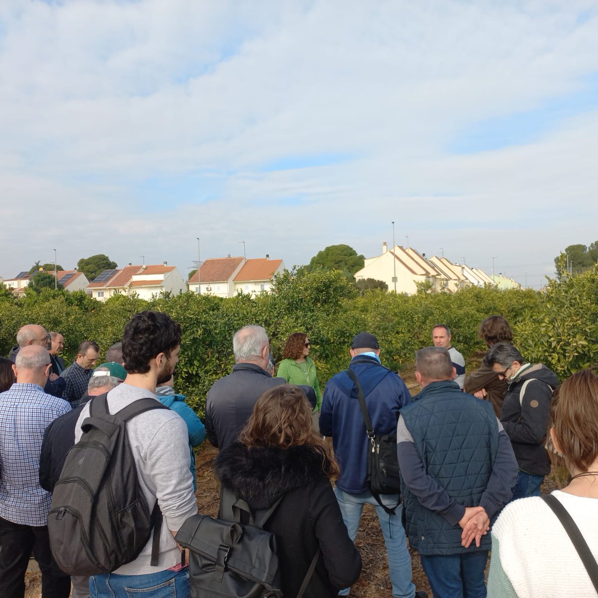 Hoy hemos asistido a a jornada sobre cubiertas vegetales organizado por la Fundación Cajamar en Paiporta. 

En este encuentro Isabel Montávez, responsable del departamento ornamental de <a href="/intersemillas1/">intersemillas</a> , ha ofrecido una lección magistral, muy enriquecedora sobre este asunto.