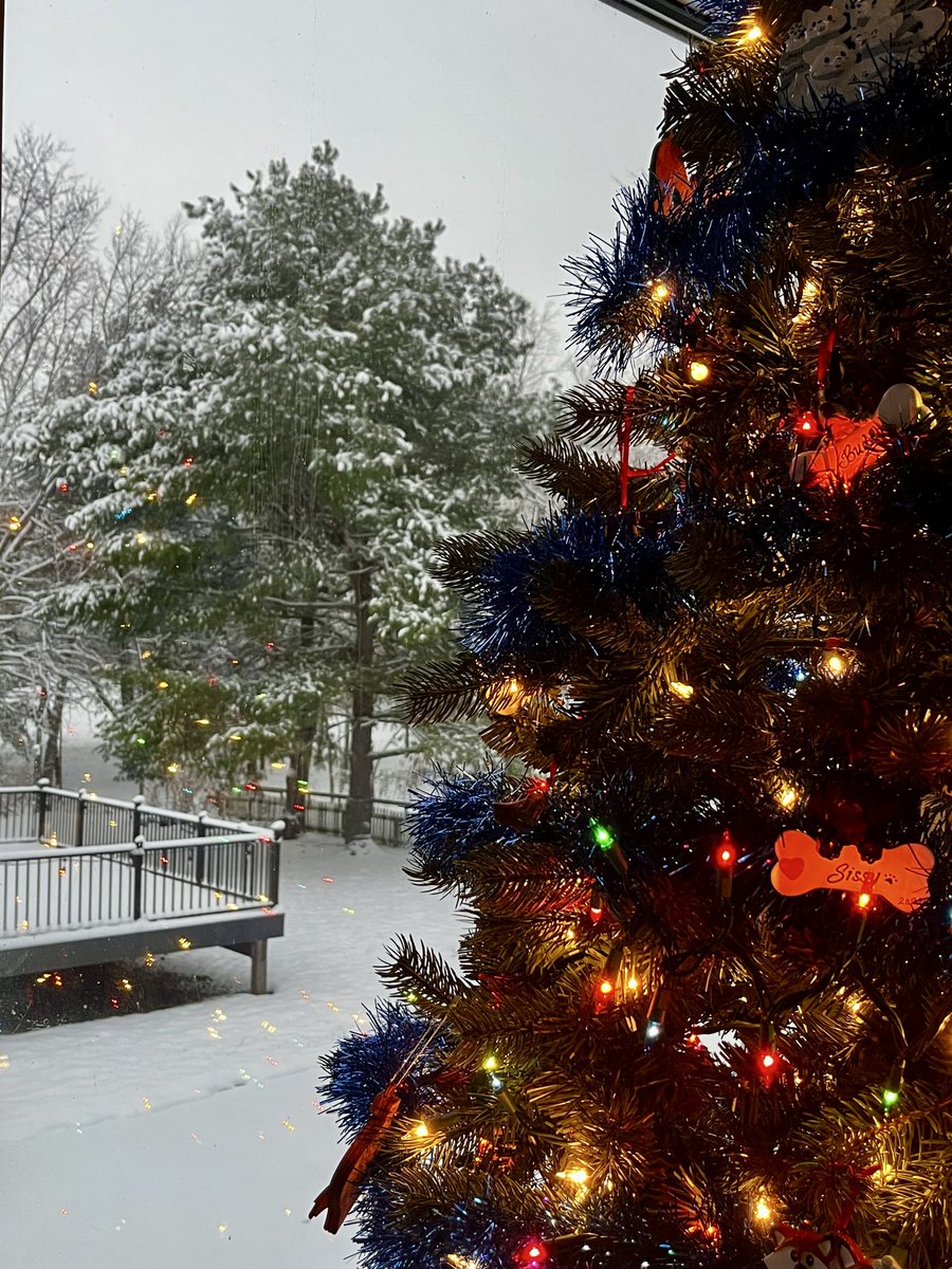 marcie_ann's tweet photo. The snow makes for a beautiful backdrop with our Christmas tree here in Mercer County 
@Kentuckyweather https://t.co/Va2kCGneB8