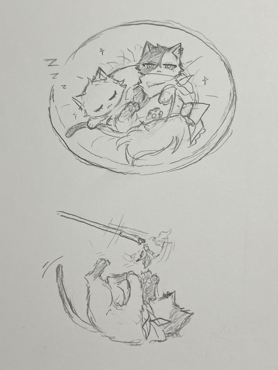 🐱
#Argenthill #HSR