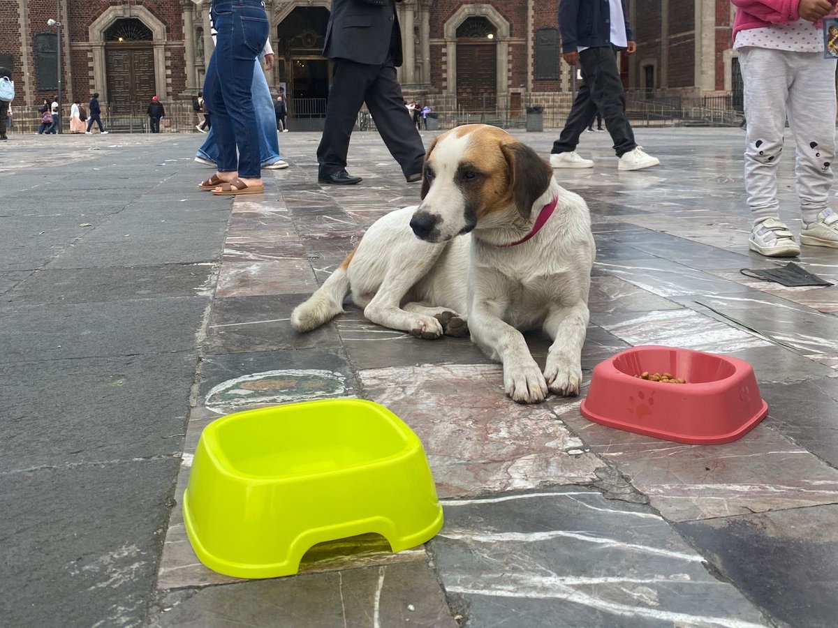 DÓNDE IR tweet media