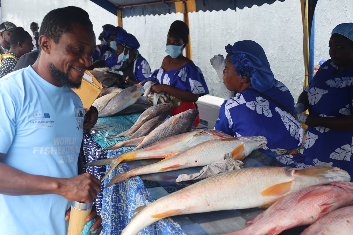 NaFAALiberia's tweet photo. NaFAA Hosts Historic Fish Market Day
What a day! NaFAA brought Montserrado and Margibi’s finest fishmongers and fish farmers together for a vibrant, history-making Fish Market Day—packed with fresh and dry fish at unbeatable prices. https://t.co/cKscC7EMnO