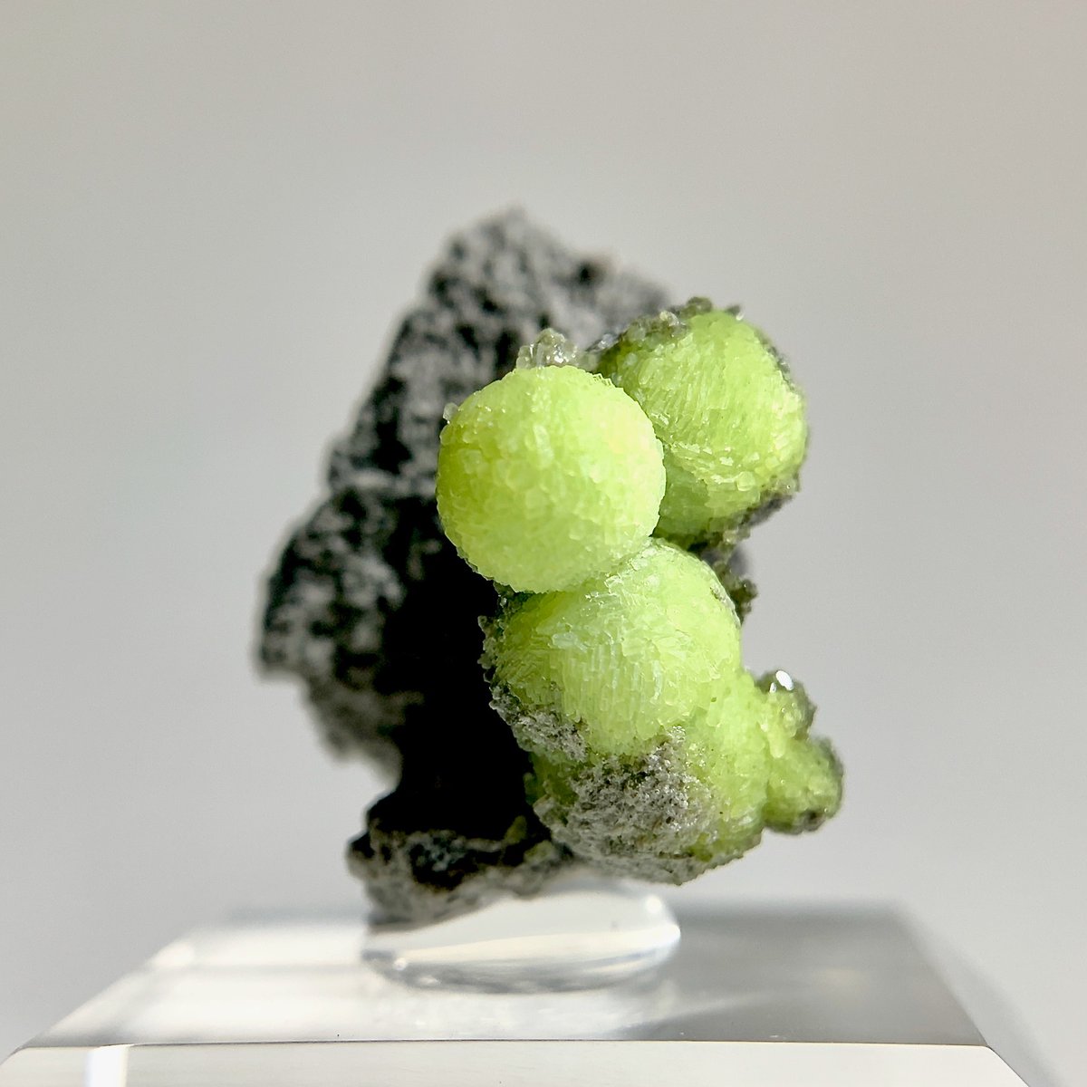 カズホ (@kxhmkmi) / Posts / X