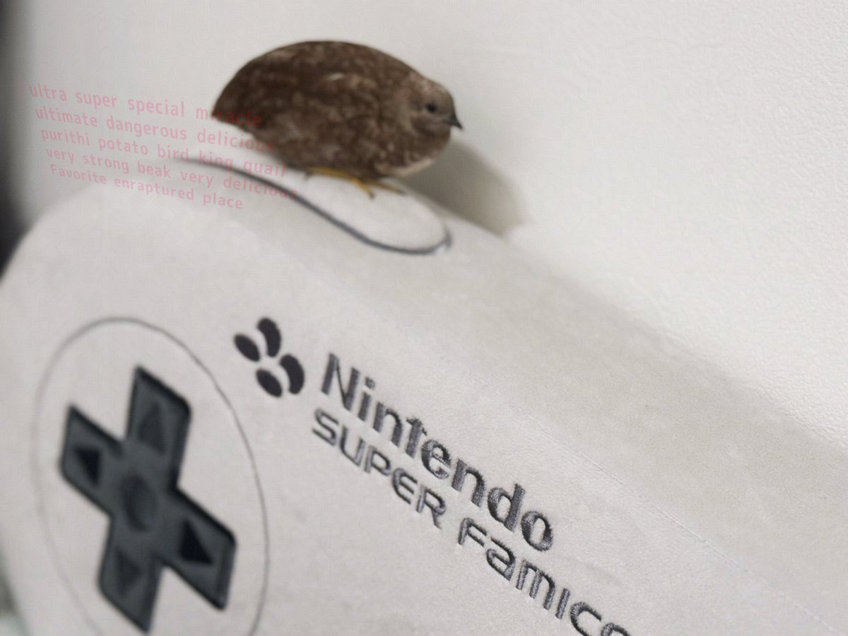 確認ଘ(੭ˊ꒳​ˋ)੭✧★♡ 福井初日無事終了〜 好き？