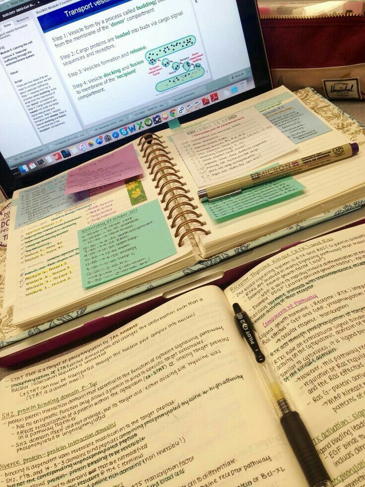 theTopEssayists's tweet image. Get academic writing help within the tightest deadlines.

Hire an Essay Pro expert to get:

✓ Subject Expertise
✓ Qualified Tutoring
✓ Affordable Prices
✓ Plagiarism-Free &amp;amp; AI free Papers.

Send your subject request

WhatsApp: +1 (443) 300-4424