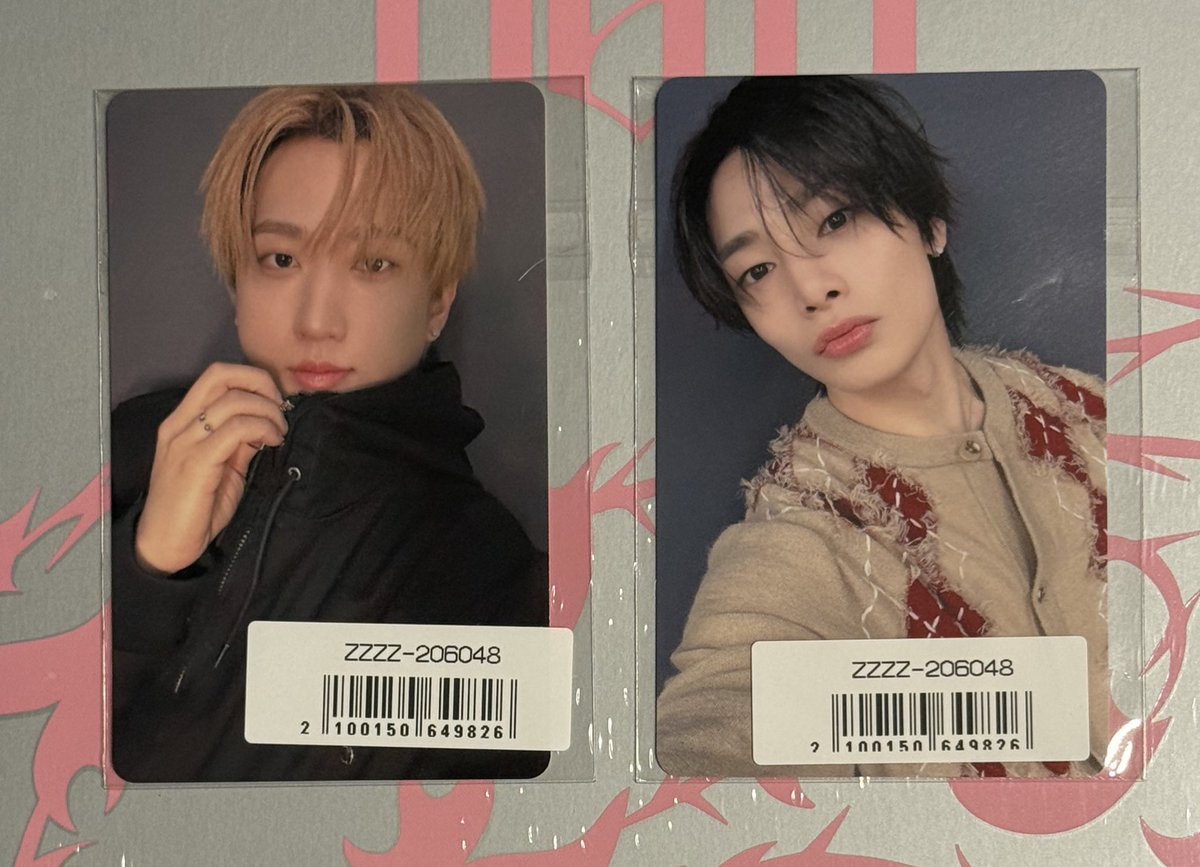 Straykids スキズ トレカ 封入 特典 DO IT ソニミュ 譲 チャンビン