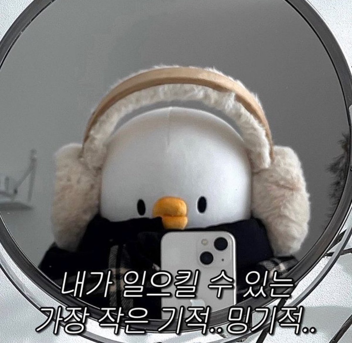 펭귄 tweet media