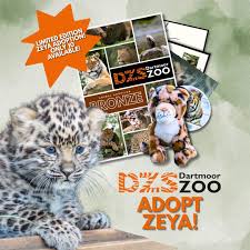 puzzleyess's tweet photo. $zeya https://t.co/YkEJX2izrz