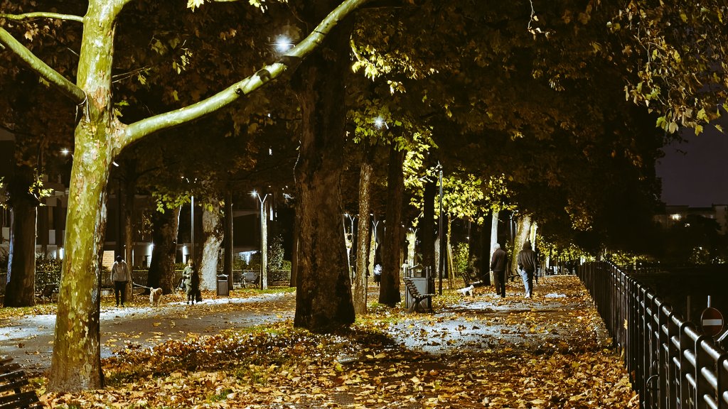 Andrsn's tweet photo. 夜景🌃 https://t.co/HbJEetTpXA
