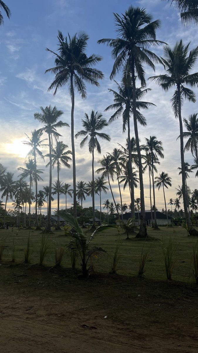 nyuttttt's tweet photo. Sepoi sepoi 🍃 untung tidak panas dan tidak hujan seharian https://t.co/5dlkEAAqwg