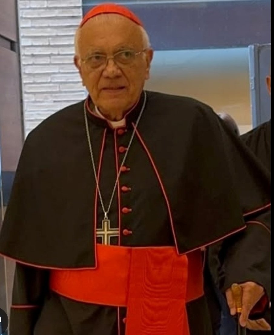 AVeLengua tweet media