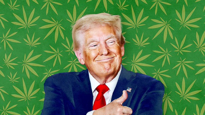 If you were following the news late last night, the Washington Post reported that "Trump's aides are planning to order the reclassification of marijuana as a Schedule III controlled substance, placing it in the same category as prescription painkillers." This caused all cannabis