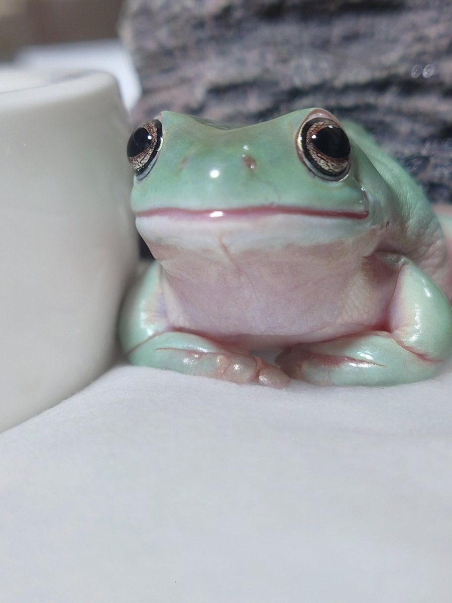 ﾅﾆﾐﾃﾙﾉ？？？