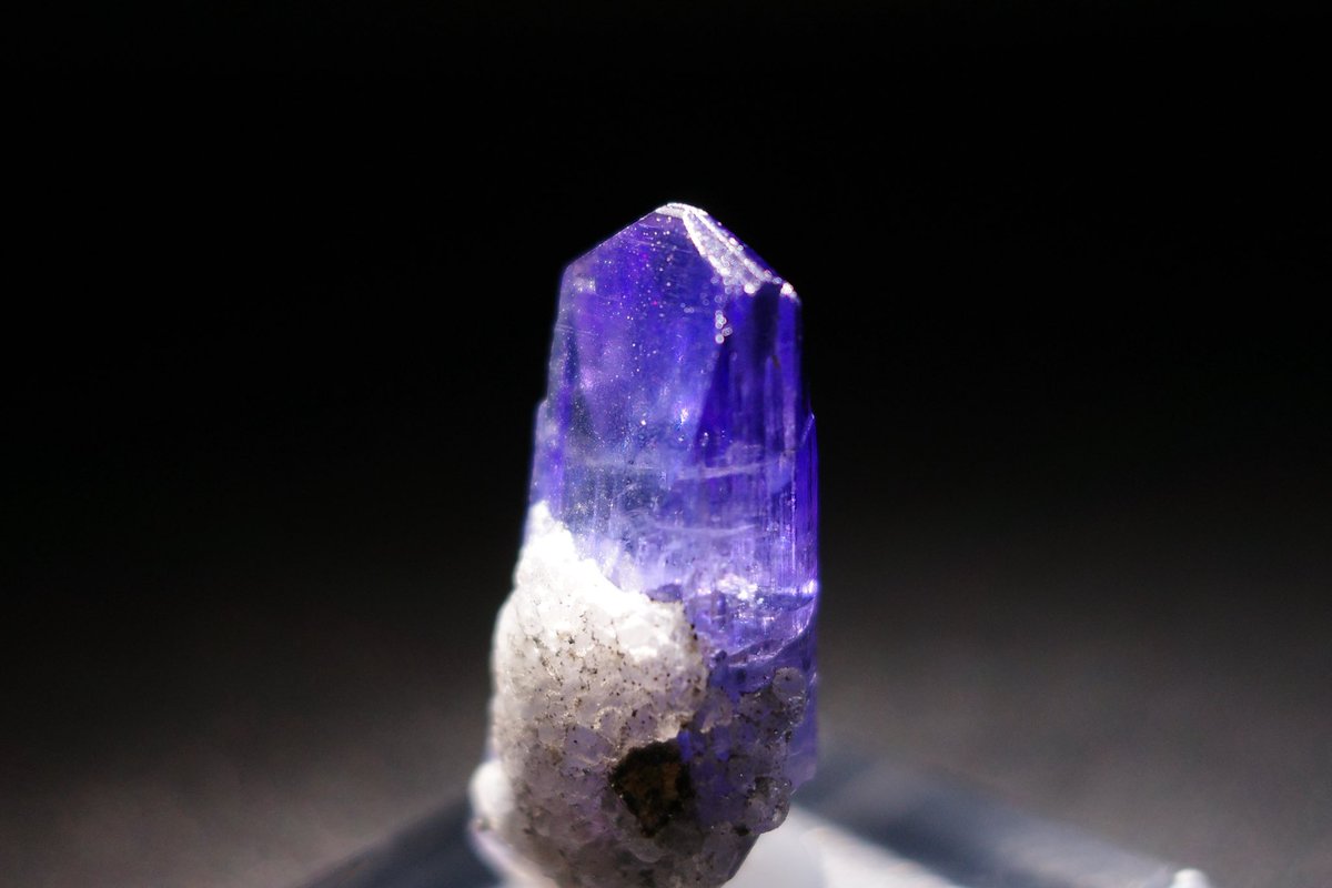 loopsofinfinity's tweet image. 東京ミネラルショー購入品
今年はこのタンザナイトのみ

cute stone @cutestone_jp さんより