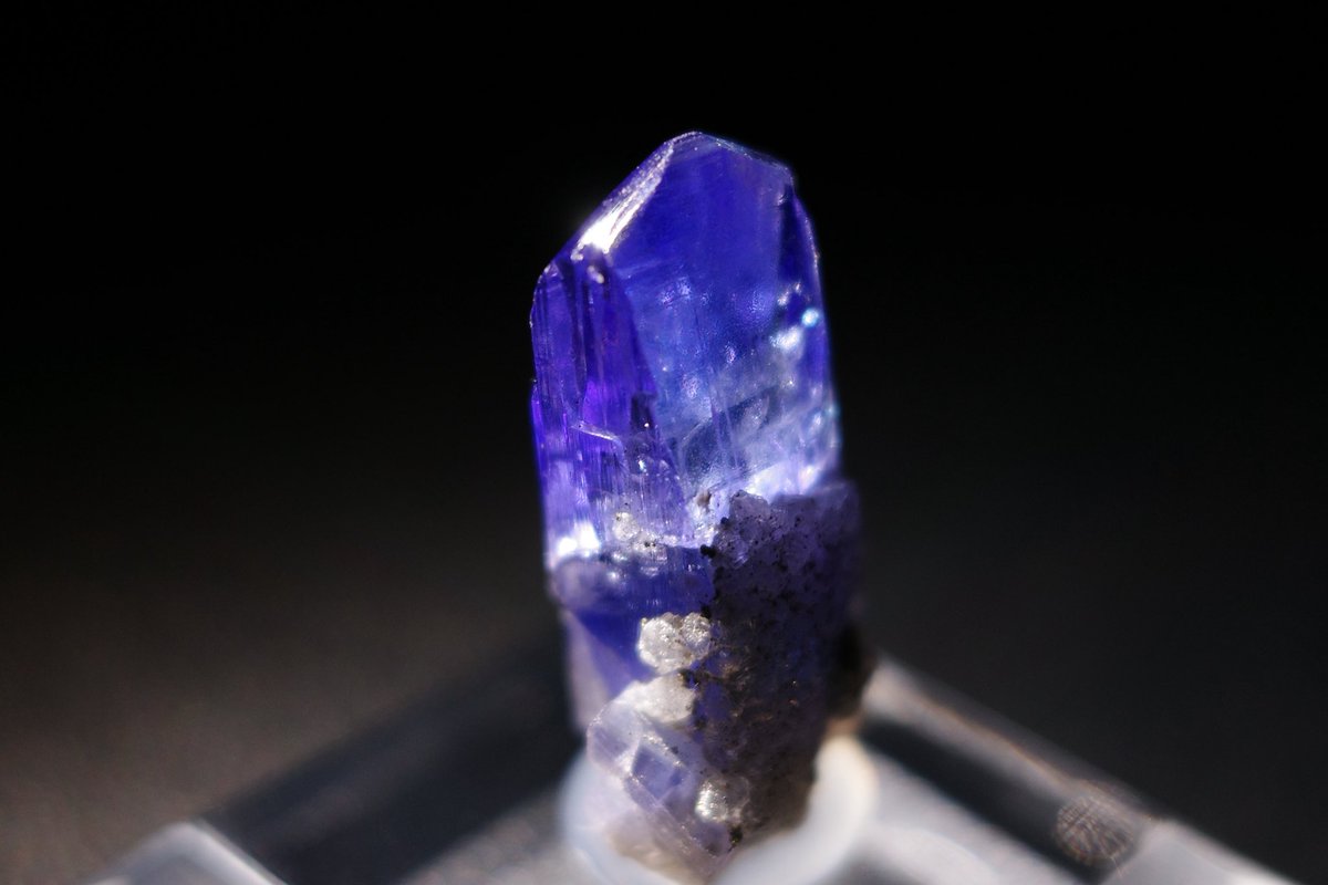 loopsofinfinity's tweet image. 東京ミネラルショー購入品
今年はこのタンザナイトのみ

cute stone @cutestone_jp さんより