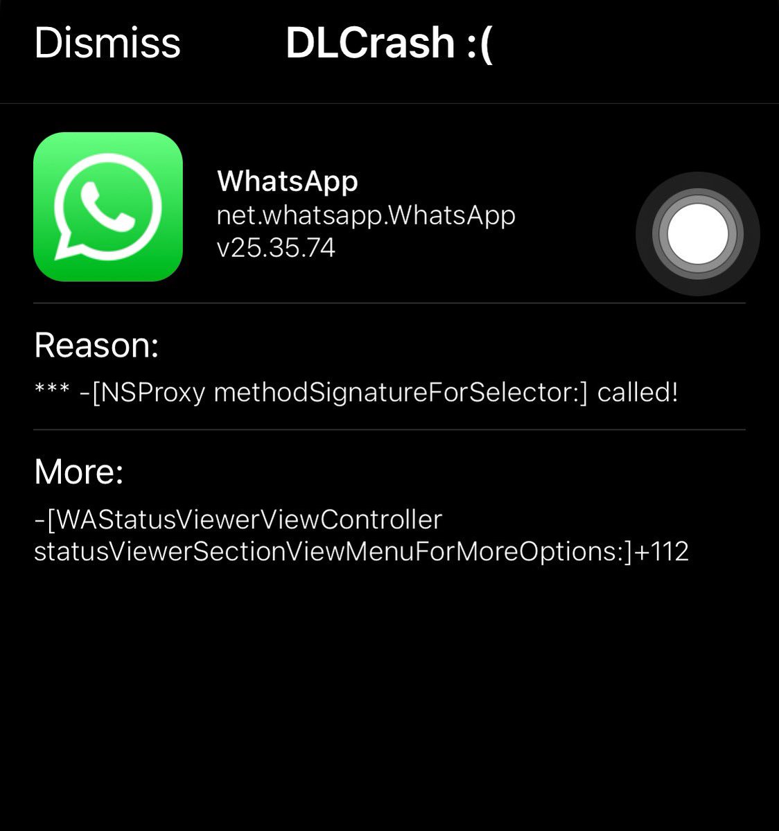 Papi Curtis tweet media