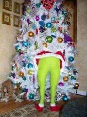 TexasProHomeIns's tweet photo. It's Crazy Photo Friday! https://t.co/C3eCX5QUNN