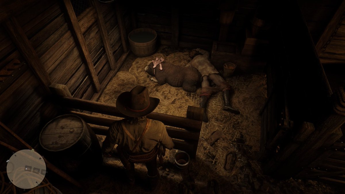 WTF did I just walk into #rdr2