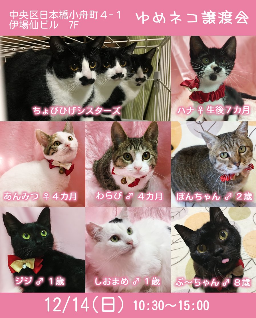 雷十太先生 (@asjSvnCZl18wKXM) / Posts / X