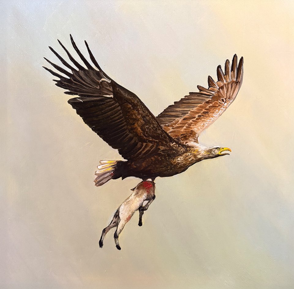 Colin MacIntyre tweet media