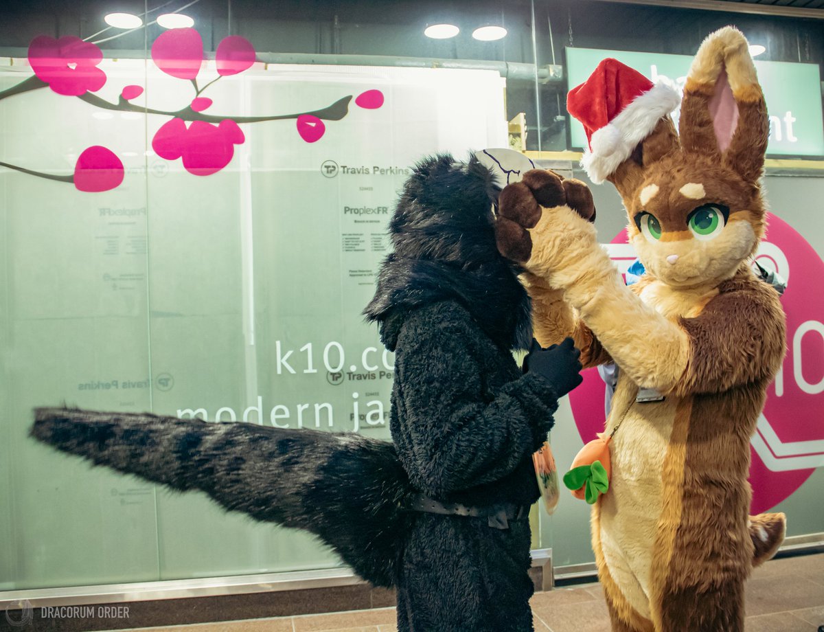 Villdamis (Vill)/ Tardie tweet media