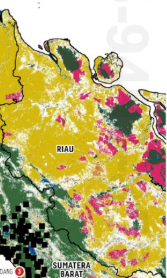 ardisatriawan's tweet image. Gokil, kuning semua = sawit semua?