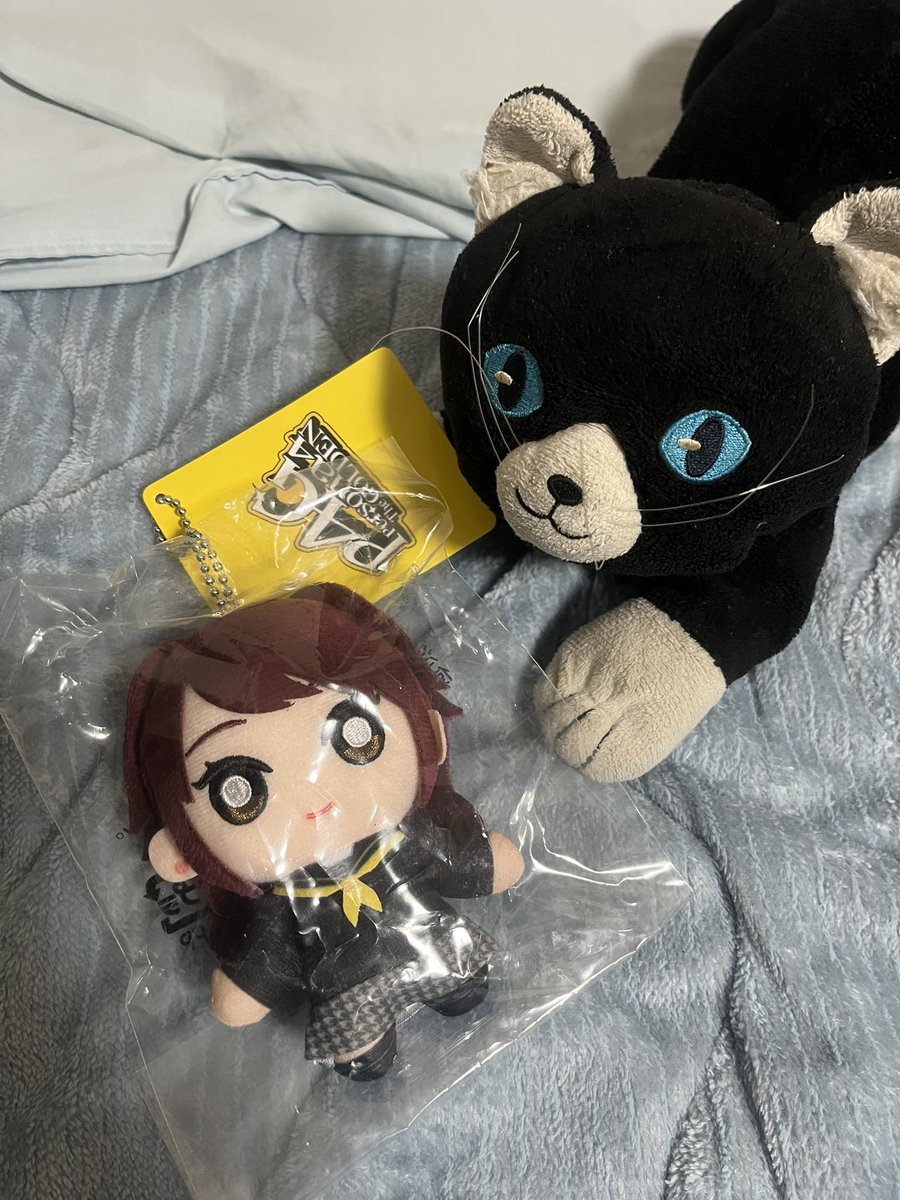 新たにりせちゃんお出迎え！！