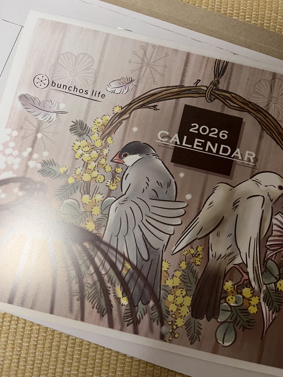 こむぎ🕊️ (@komugi_chan55) / Posts / X