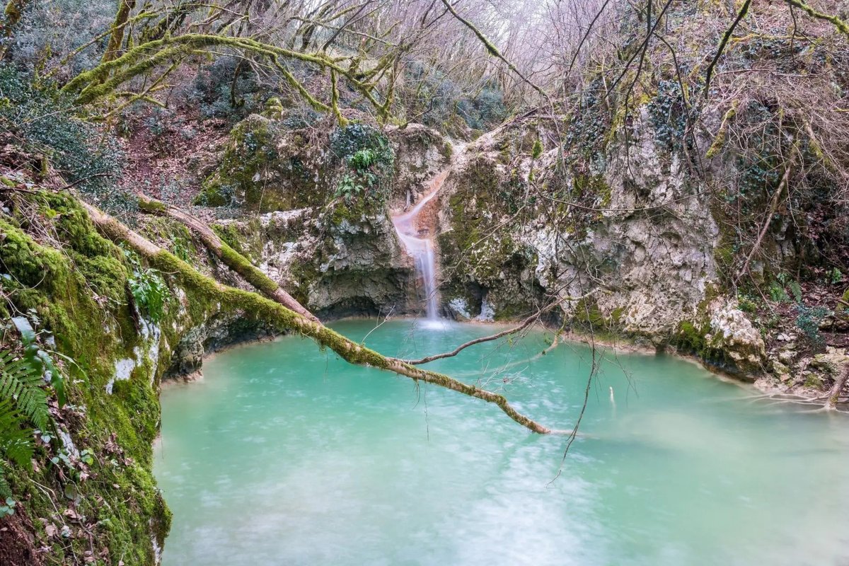 Colours of Istria tweet media