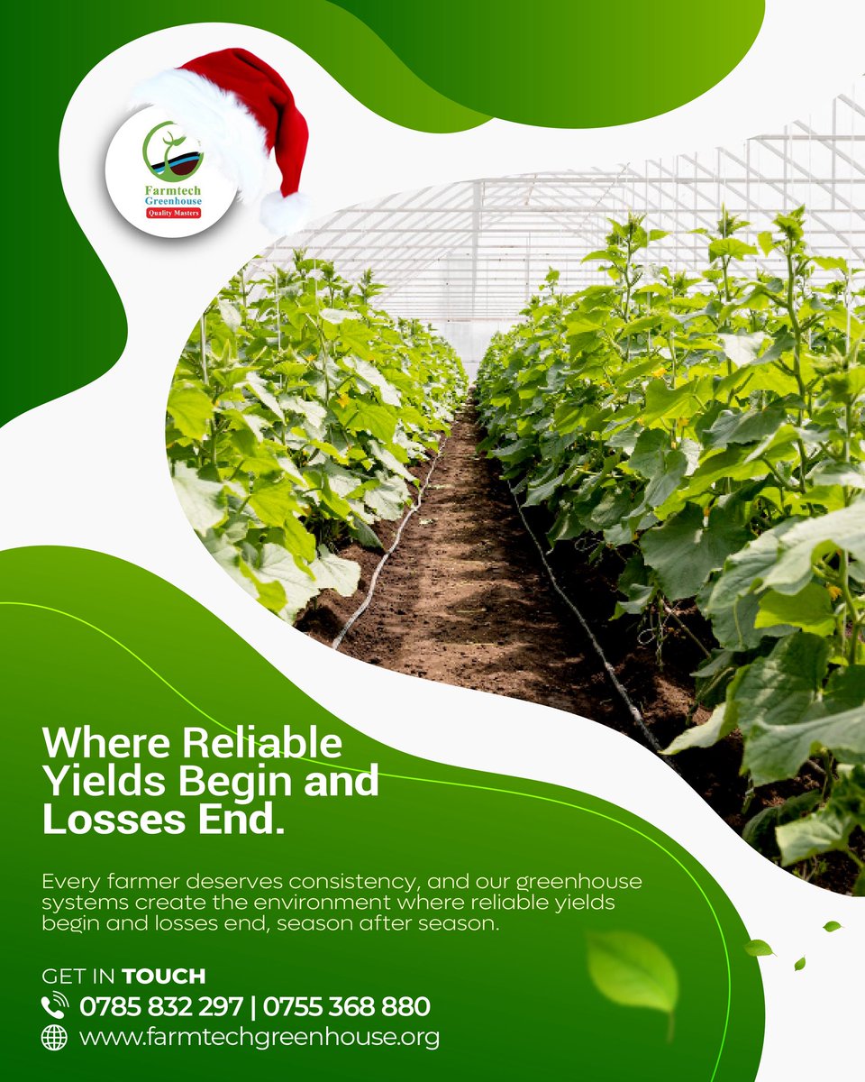 Farmtechuganda's tweet photo. Every farmer deserves consistency, and our greenhouse systems create the environment where reliable yields begin and losses end, season after season. #farmtech #smartfarming https://t.co/UXL9BmJzt9