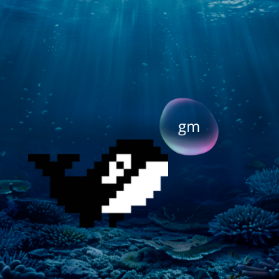 Orki Finance tweet media