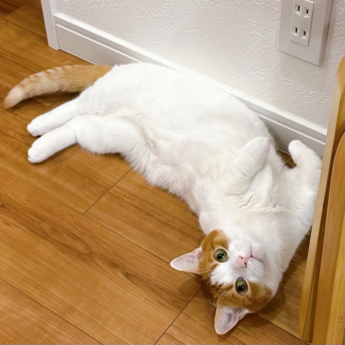 も&もちもな (@m____o) / Posts / X