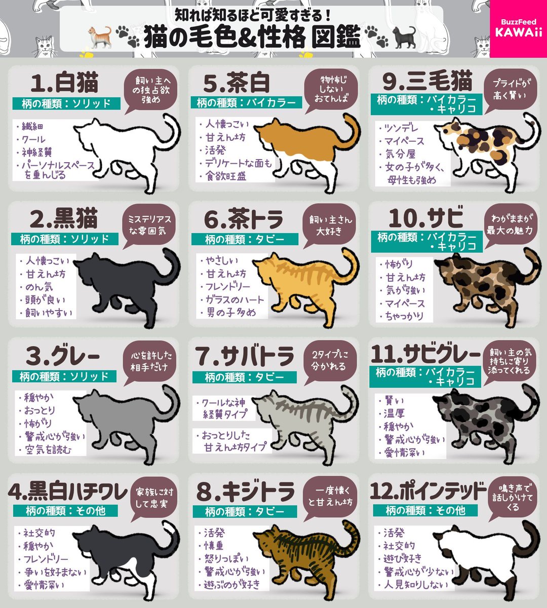 結構あたってる🥰 うちの子達は 上から 黒→三毛サバ→キジトラ