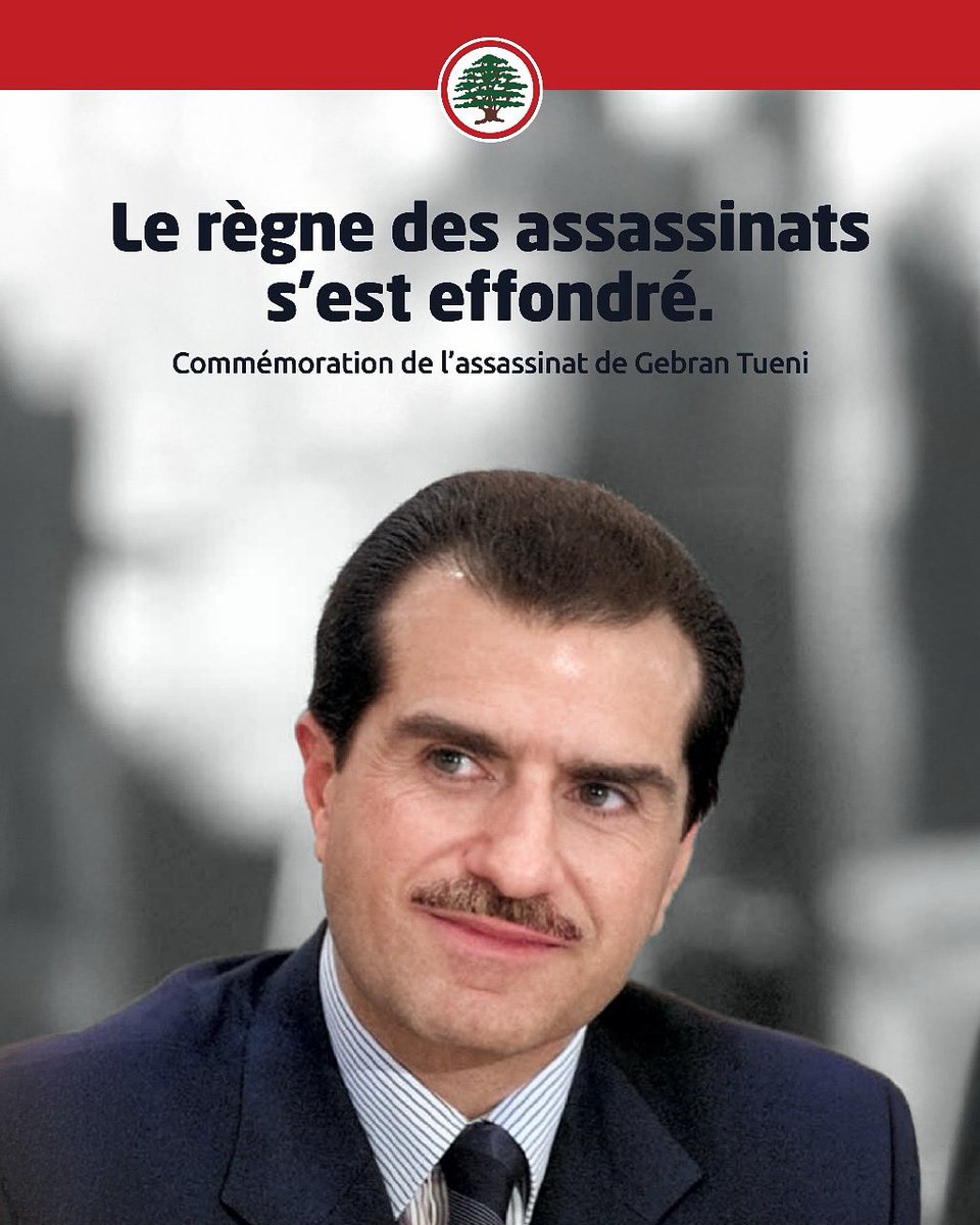 Forces Libanaises - France tweet media
