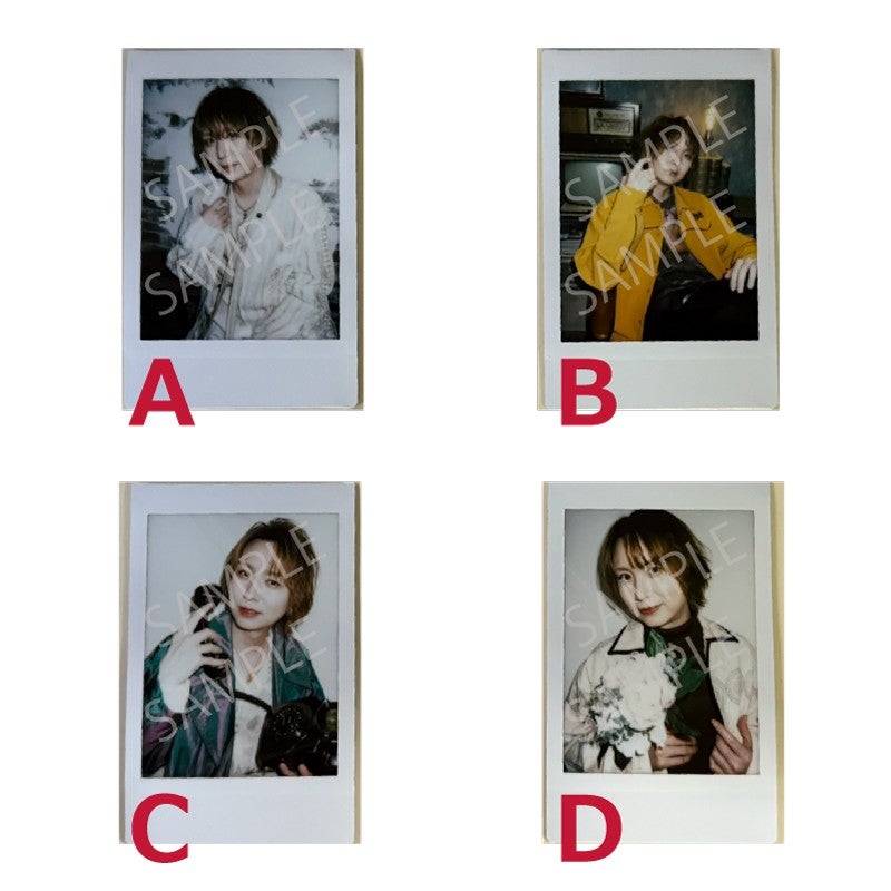 ぽこた (@pokotaegamyer) / Posts / X