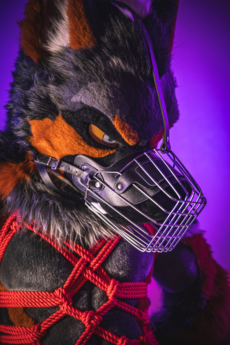 OH NO!!🤐💢

📷<a href="/Gale021/">📸🐳Gale🐳📷</a>
🪢 <a href="/tigersil37/">虎銀 Tigersil 🔜</a>