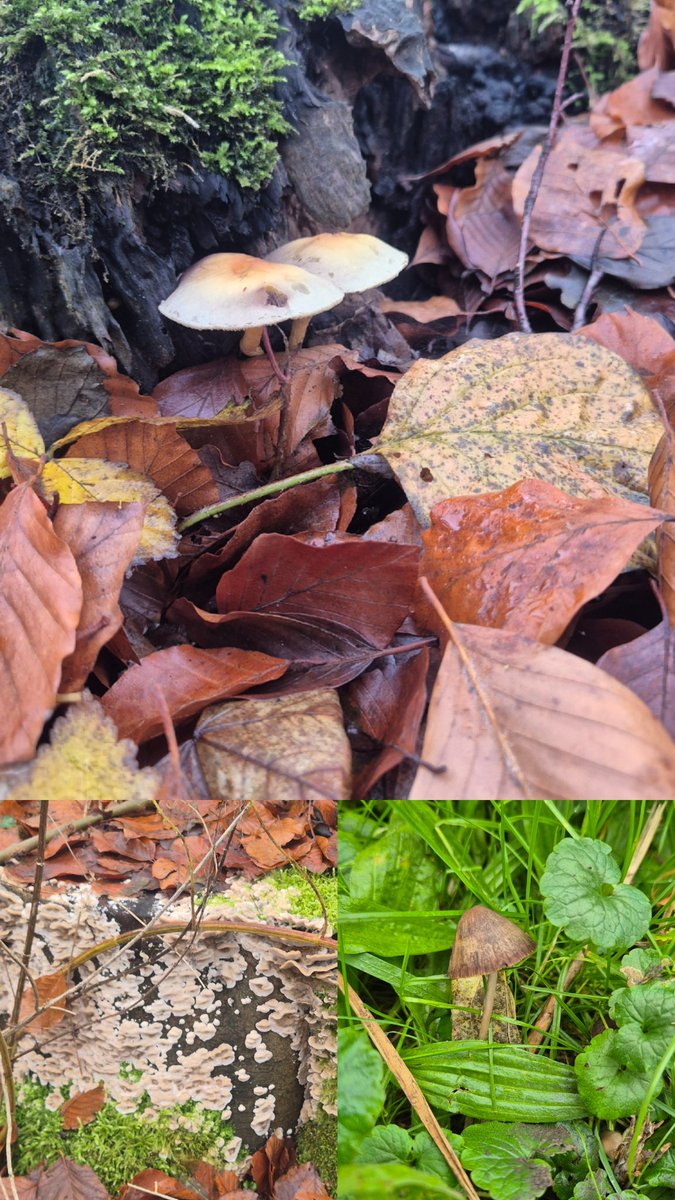 David Hernández tweet media