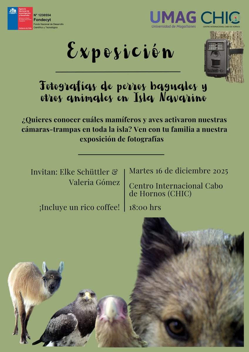 Centro Internacional Cabo de Hornos (CHIC) tweet media