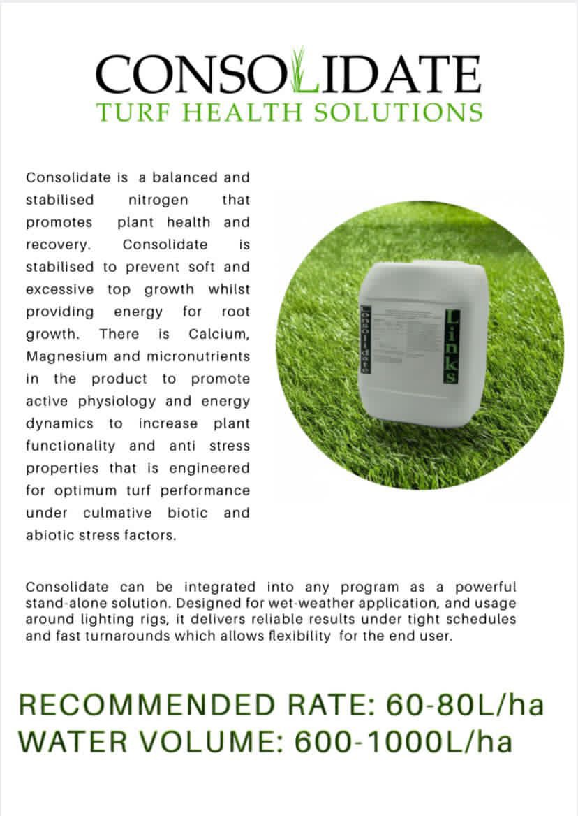 Consolidate Turf tweet media