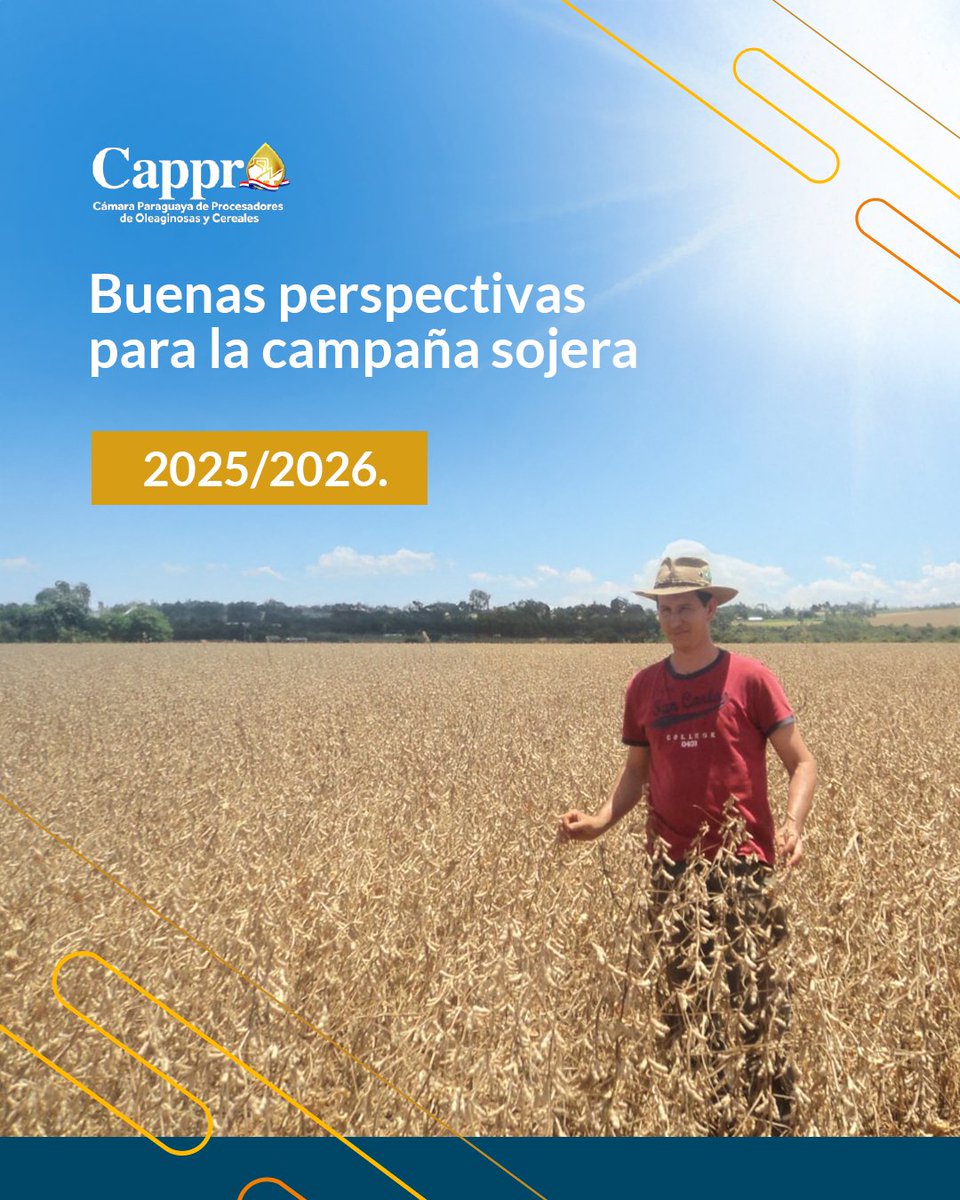 cappropy's tweet photo. 🌦️ Las condiciones climáticas para la campaña 2025/2026 se presentan alentadoras.
Con perfiles de suelo mejorados y pronósticos positivos, el sector sojero proyecta un año de repunte productivo que fortalecerá a la agroindustria y dinamizará la economía del país.
#CAPPRO #Soja https://t.co/157PWwo3ws