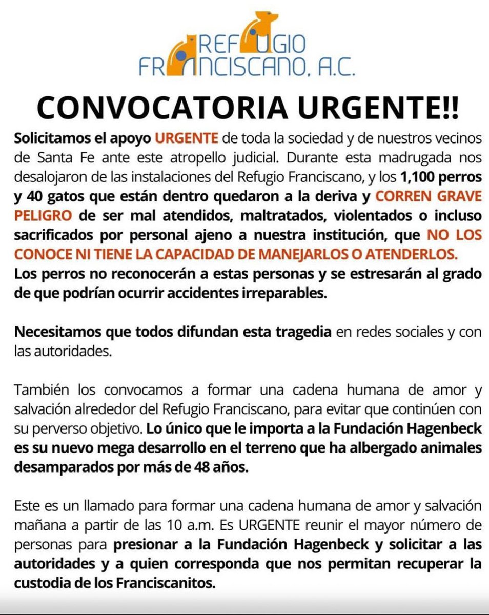 Desconocemos exactamente qué sucedió en el proceso judicial pero lo que sí sabemos es que la noche de antier desalojaron a los cuidadores y se llevaron vario perritos (hay un video)..
No es justo por los animales. Lo que yo sé es que el fundador del Refugio Franciscano dejó un
