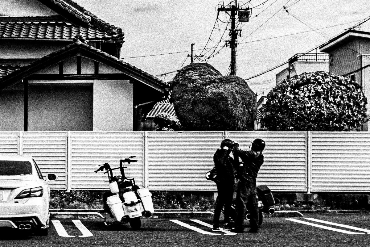 braincellsinapetridish tweet media