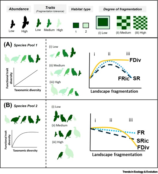 Trends_Ecol_Evo's tweet photo. Online now: Trait-explicit approaches cast new light on fragmentation effects on biodiversity https://t.co/ZLPmfxspei https://t.co/7ncCQjRfJA