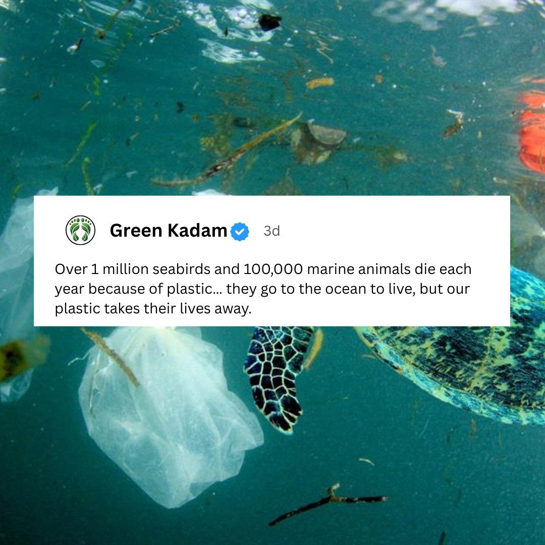 Green kadam tweet media