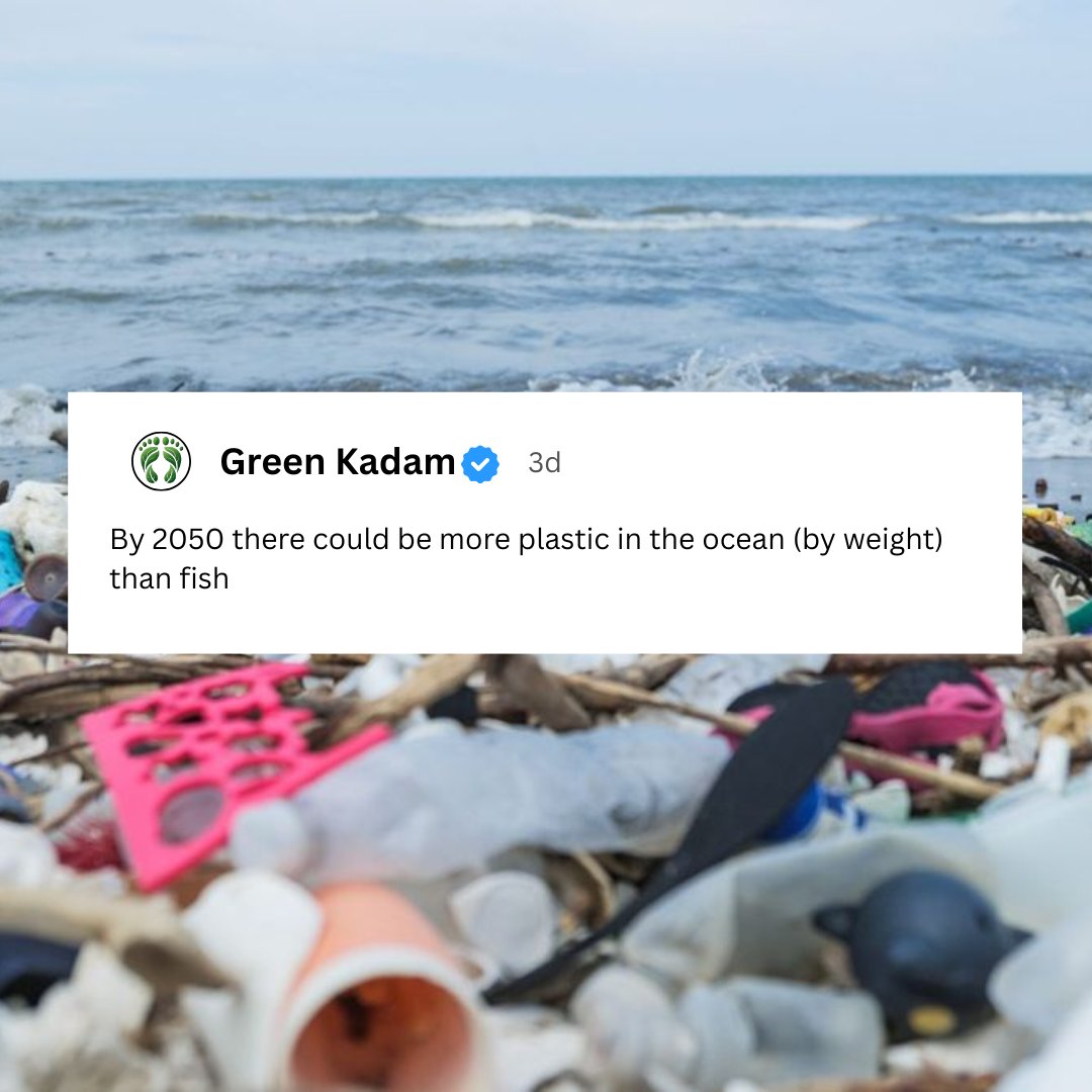 Green kadam tweet media
