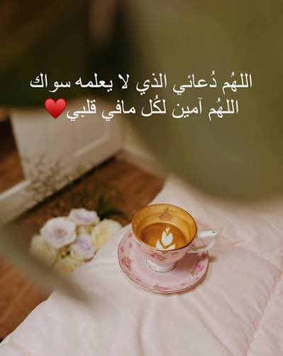 🌹🇸🇦NOUF tweet media