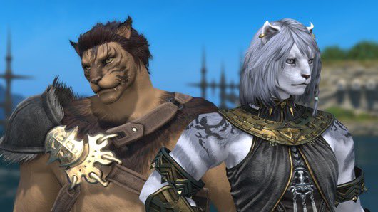 aitaikimochi's tweet image. New Viera and Hrothgar hairstyles available in FFXIV 7.4!