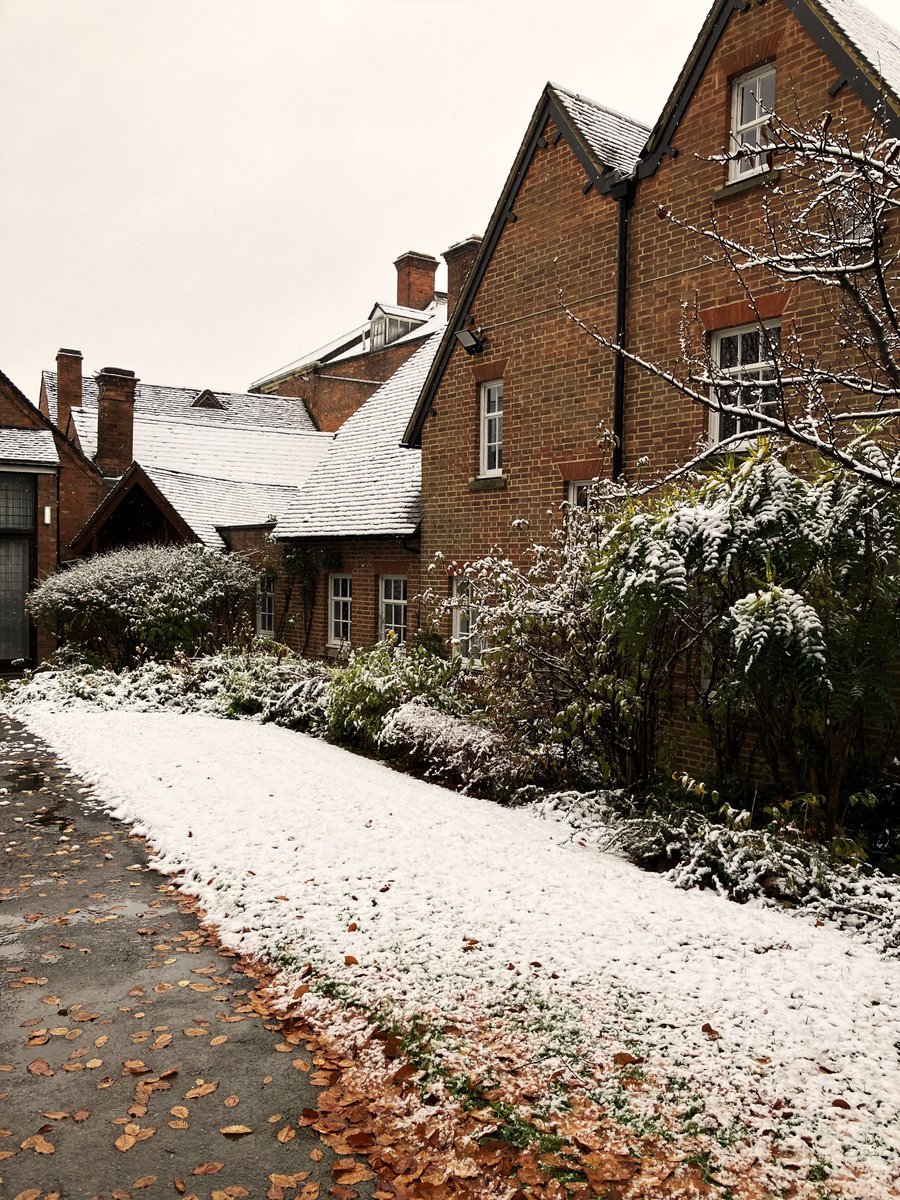 ShakesInstituteLib tweet media