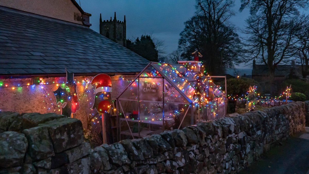 Cliff Salt tweet media