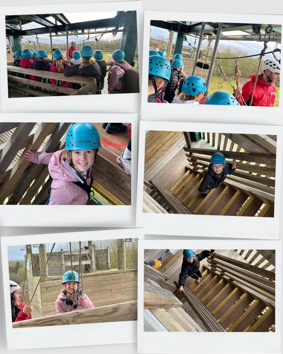 Year 6 Wynndale tweet media
