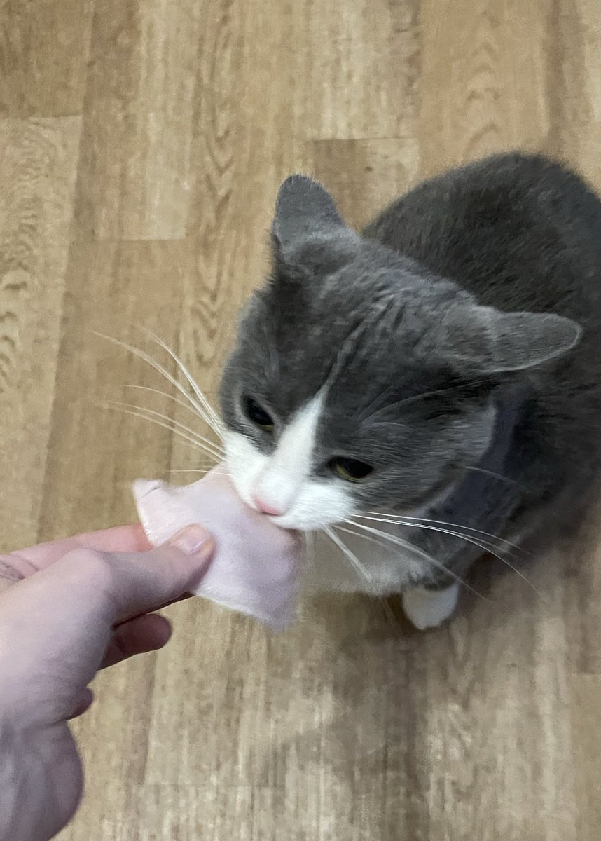 ням ням ням ням ням ням